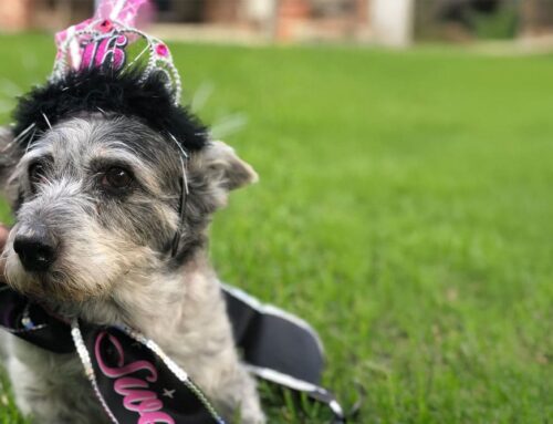 Arthritis Isn’t Just Pain… It’s a Deficiency Problem – An Integrative Approach