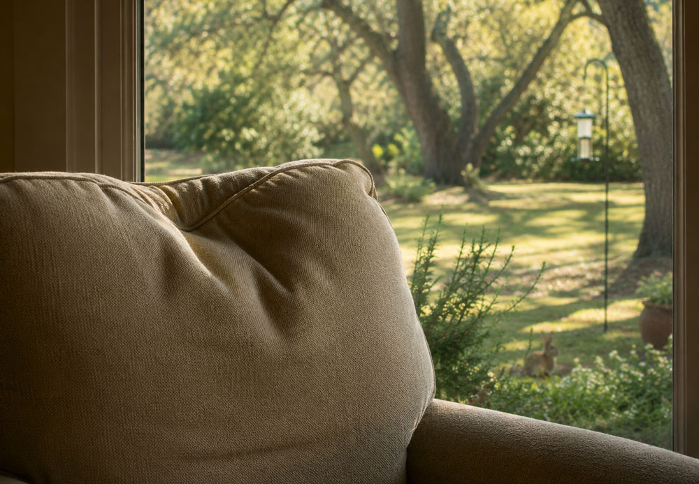 Cozy upholstered chair beside a large window overlooking a sunlit backyard with mature trees and a bird feeder.